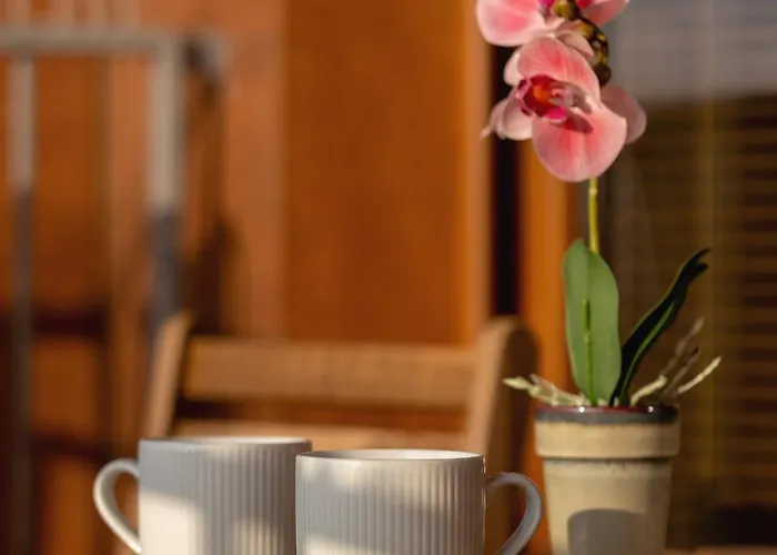 Apartament Exceptional With Balcony By Renters *